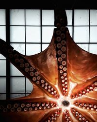 Low angle view of illuminated ceiling of building