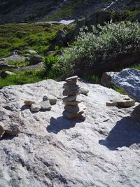 Rocks on shore