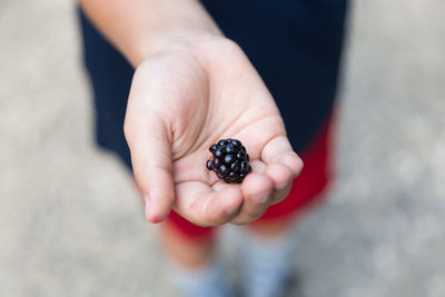 Close-up of hand holding blackberry