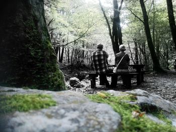 Trees in forest