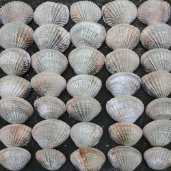 Full frame shot of firewood