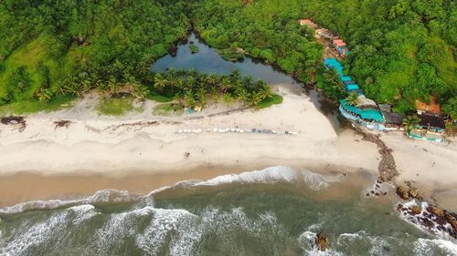 High angle view of sea and trees