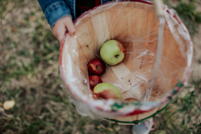 High angle view of man holding apple in basket