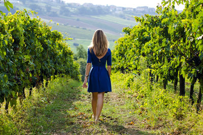 Rear view of young woman walking amidst green trees