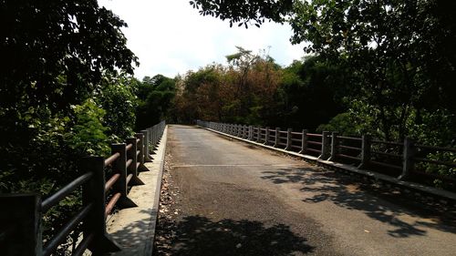 View of trees along road