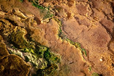 Full frame shot of rocks on land