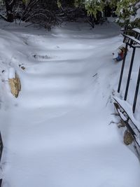 High angle view of snow covered field