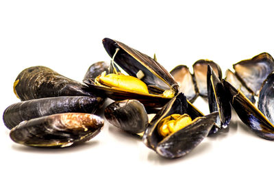 Close-up of food against white background