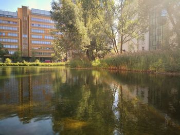 Reflection of trees and building in lake