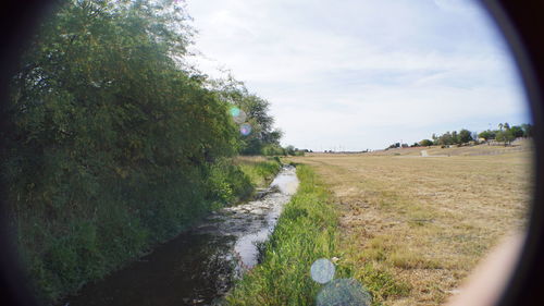 Scenic view of grass and trees against sky