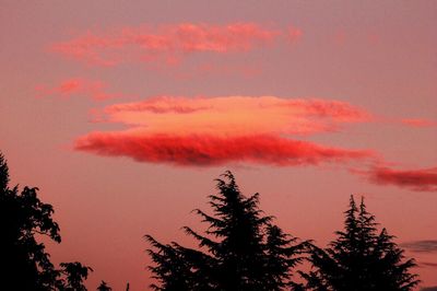 Low angle view of silhouette trees against sky at sunset