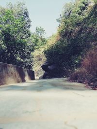 Surface level of road by trees against sky