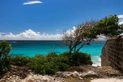 Scenic view of sea against blue sky