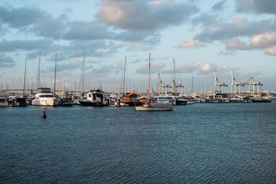 Sailboats moored in harbor