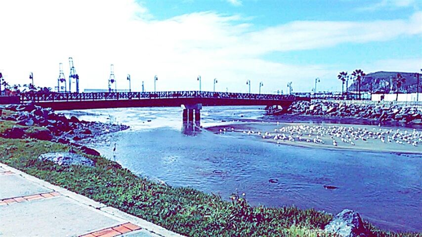 SCENIC VIEW OF BEACH