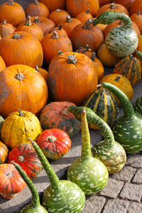High angle view of pumpkins in market