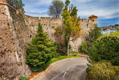 Road amidst trees and buildings against sky