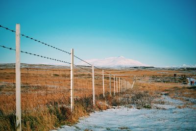 Scenic view of field against clear blue sky