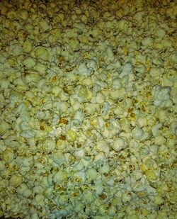 Autumn leaves in pond