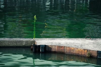 Reflection of trees on lake