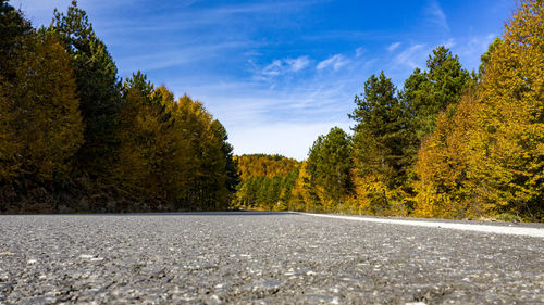 Surface level of road amidst trees in forest against sky