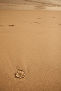 High angle view of footprints on sand at beach