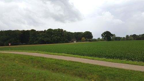 Scenic view of field against sky