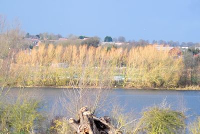 Scenic view of lake against clear sky