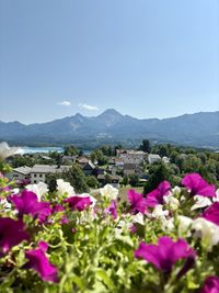 Scenic view of townscape against sky