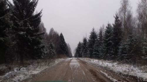 Road amidst trees against sky during winter