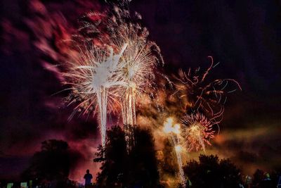 Low angle view of firework display at night