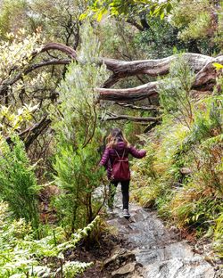 Rear view of woman standing on rock in forest