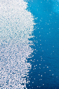 High angle view of bubbles in sea