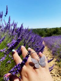 Cropped hand of woman with butterfly on and against flowering plants