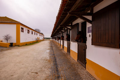 View of building and horses.