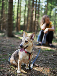 Young girl woman walks the small dog in summer forest