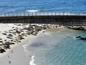 High angle view of sea shore at beach