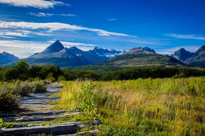 Scenic view of field and mountains against blue sky