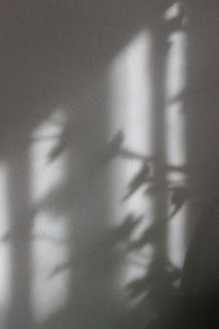 Shadow of hand on wall