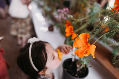 High angle view of girl smelling poppy