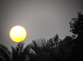 Low angle view of silhouette palm trees against sky during sunset