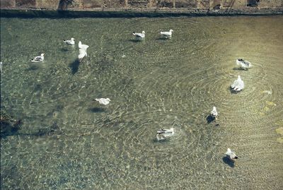 High angle view of beach