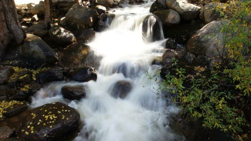 Stream flowing through rocks in forest