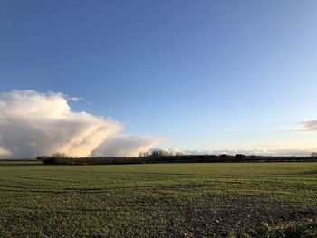 Scenic view of field against sky