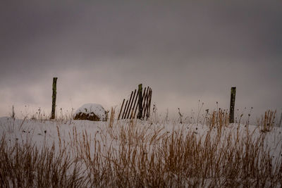 Hay on field against sky during winter