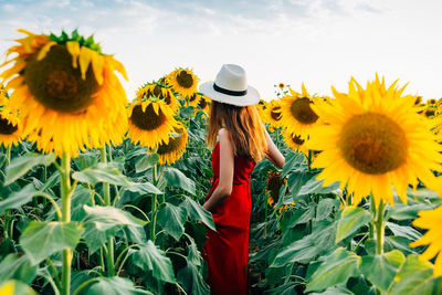 Full length of woman standing on sunflower field against sky