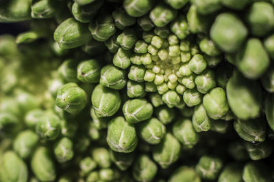 Full frame shot of green chili peppers