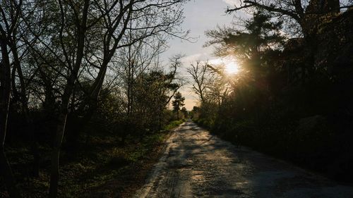 Road amidst trees in forest against sky