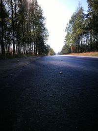 Surface level of road by trees against sky