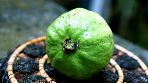 Close-up of apple on leaf